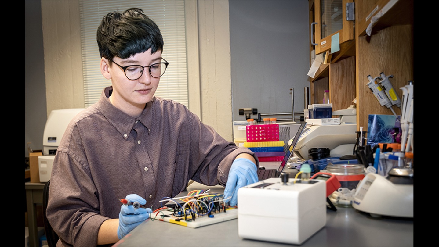 Brown’s Welch, Tripathi finalists in E&T’s Innovation Awards